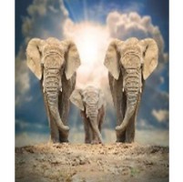 ����� ��� ������ ������� ��������� ��������� 180*180 "�����" � ��������  461390 - almadom96.ru - ������������