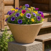 ����� ������������ �18 "�����" 24� 54*54*29�� (�������� ������� 24 �����) - almadom96.ru - ������������