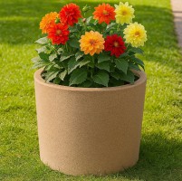 ����� ������������ �22 "������-1" 59� 59*59*59�� (�������� ������� 24 �����) - almadom96.ru - ������������
