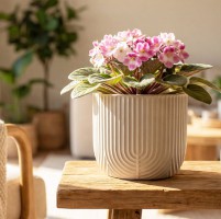 ����� ������ D150 �� 1 � �� �������� 15*15*14�� �3260 - almadom96.ru - ������������