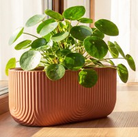 ����� ������ �������� 6� �� �������� 385x180�� �3273 - almadom96.ru - ������������