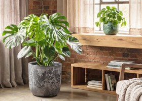 ��������� ������ - almadom96.ru - ������������