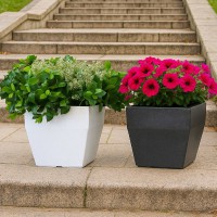    4 "" 36 40*40*34 (  24 ) - almadom96.ru - 