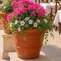 ����� ������������ �13 "����� 2" 80� 60*60*48�� (�������� ������� 24 �����) - almadom96.ru - ������������