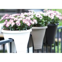   ,  d=30 h=24, V=6,5   - almadom96.ru - 