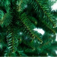 ���� ������������� (������ ���) "����������� �����" 120 �� (�����/�����/����. ������� �����(��)-191 / 8 / 65) - almadom96.ru - ������������