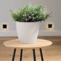 ����� � ���������� ���� "MIKA" d17 h15 L-2,5� ����� - almadom96.ru - ������������