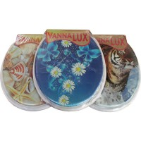  -   "VANNA LUX"  ,    1/17 - almadom96.ru - 