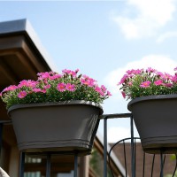   ,  d=60 h=24, V=18   - almadom96.ru - 