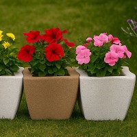   17 "" 50 30*45*34 (  24 ) - almadom96.ru - 