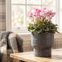 ����� ���� D150 �� 1 � �� �������� 15*15*14�� �3256 - almadom96.ru - ������������