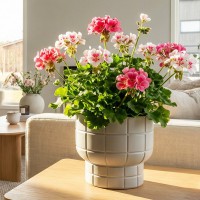 ����� ���� D180 �� 1,9 � �� �������� 18*18*16,5�� �3257 - almadom96.ru - ������������