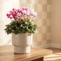 ����� ���� D220 �� 3,7 � �� �������� 22*22*20�� �3258 - almadom96.ru - ������������