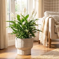 ����� ���� D280 �� 7,8 � �� �������� 28*28*25,5�� �3259 - almadom96.ru - ������������