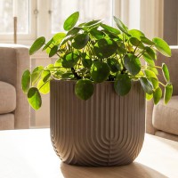 ����� ������ D180 �� 1,9 � �� �������� 18*18*16,5�� �3261 - almadom96.ru - ������������