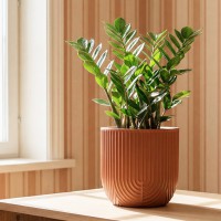 ����� ������ D220 �� 3,7 � �� �������� 22*22*20�� �3262 - almadom96.ru - ������������