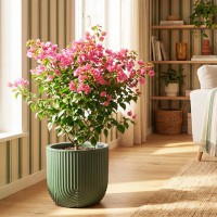 ����� ������ D280 �� 7,8 � �� �������� 28*28*25,5�� �3263 - almadom96.ru - ������������