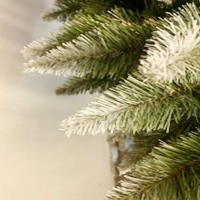 ���� ������������� (������ ���) "������" � ������������ ��������� 140 �� (�����/�����/����. ������� �����(��)-248 / 10 / 65) - almadom96.ru - ������������