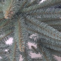 ���� ������������� (������ ���) "��� �������" 150 ��  (�����/�����/����. ������� �����(��)-249 / 9 / 80) - almadom96.ru - ������������