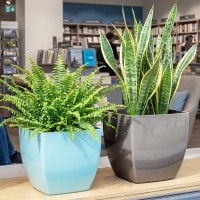 ����� ����� 175*175 �� 3,5 � �� �������� �3275 - almadom96.ru - ������������