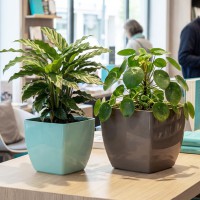 ����� ����� 200*200 �� 5,5 � �� �������� �3276 - almadom96.ru - ������������