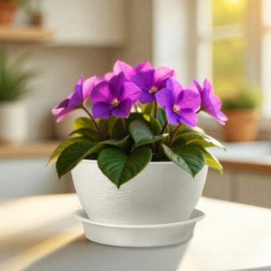 ����� "��������" � �������� 0,8� (�����) - almadom96.ru - ������������